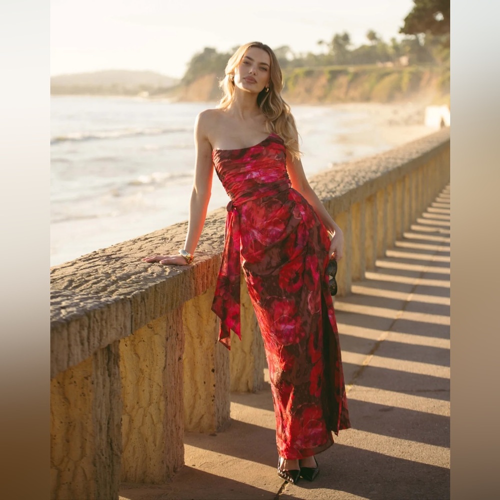 Hutch Julietta Strapless Ruched Maxi Dress - Picture 6 of 10